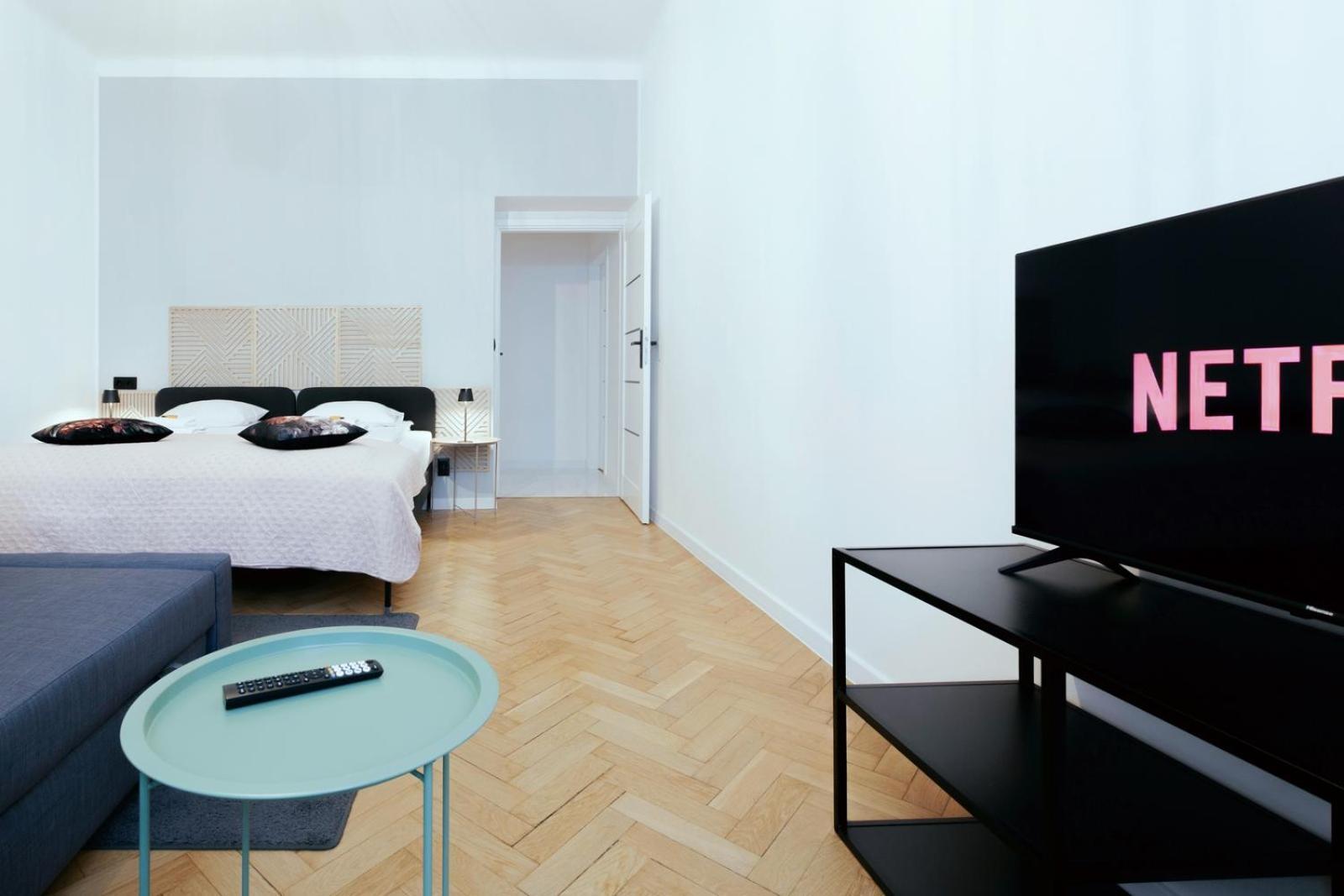 Roomy Lobzowska Street Apartment *